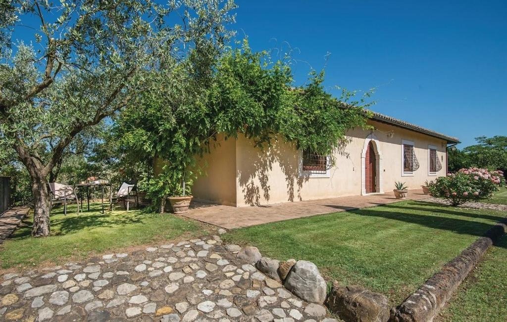 A residence on the estate, with a climbing plant across the facade, an olive tree and a stone path.