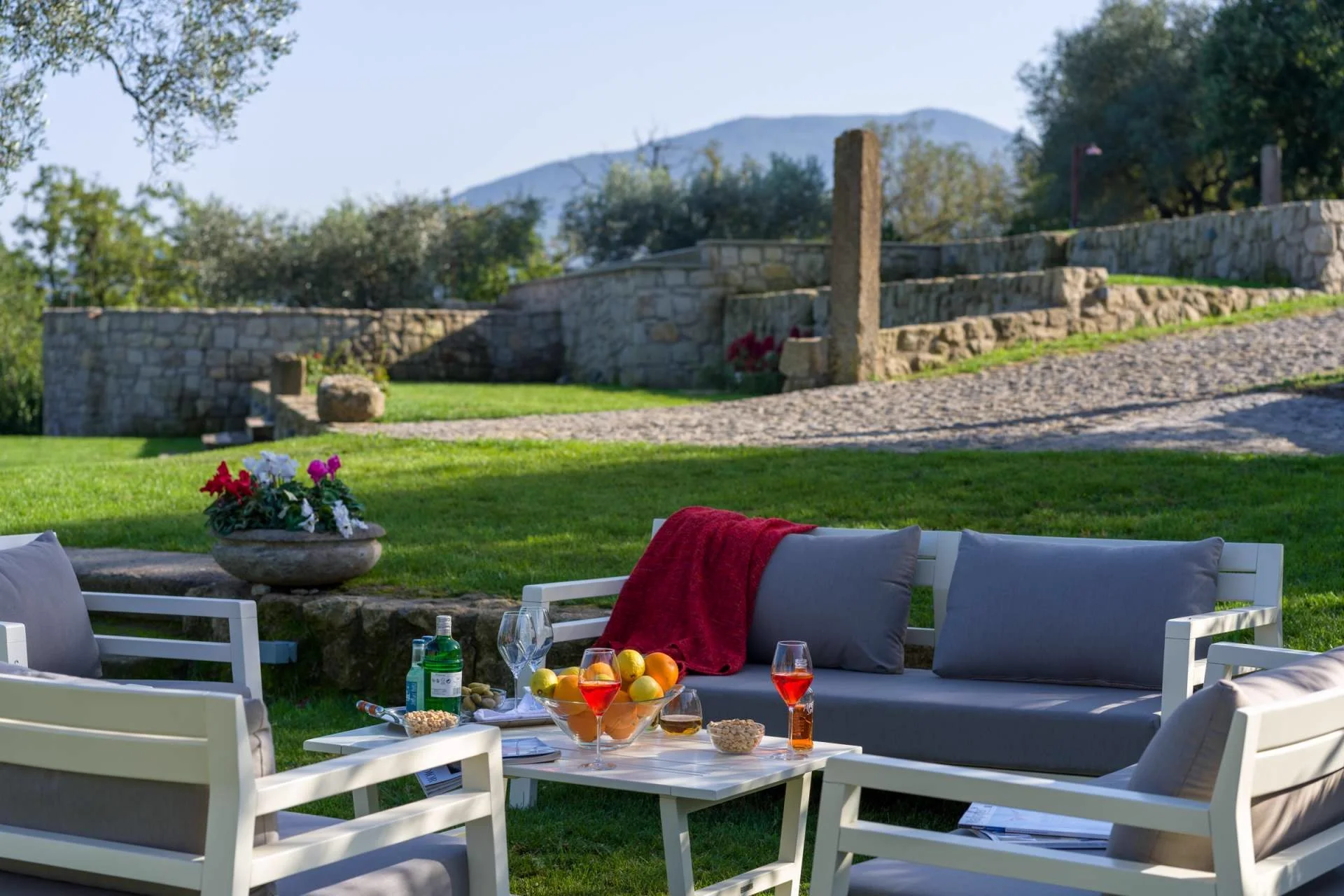 A table in the garden with glasses and small plates in late afternoon light.