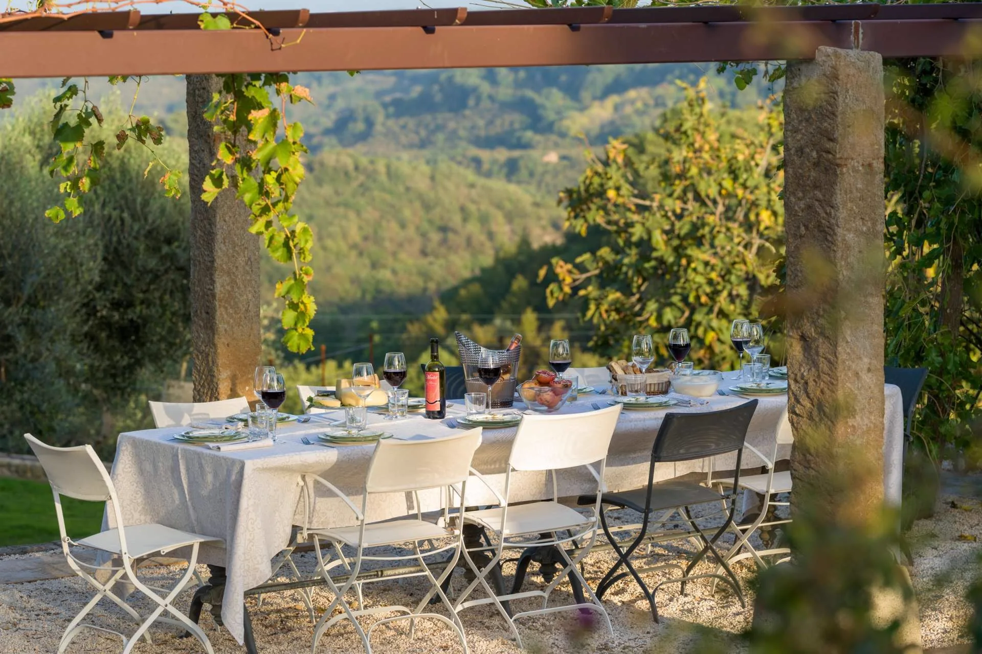 A long table laid under the pergola on the estate, set for a meal in warm light.